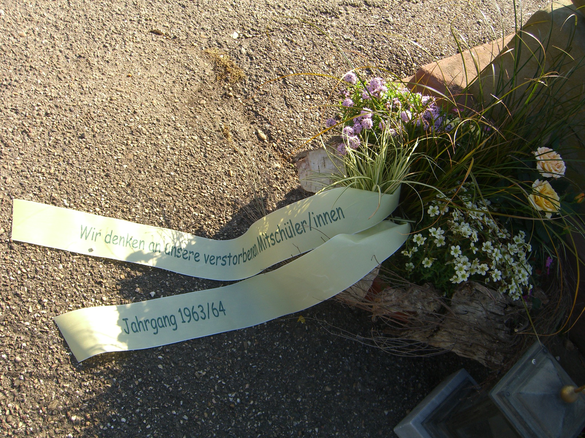 ./Bilder-Martina/gross/CIMG2151.JPG