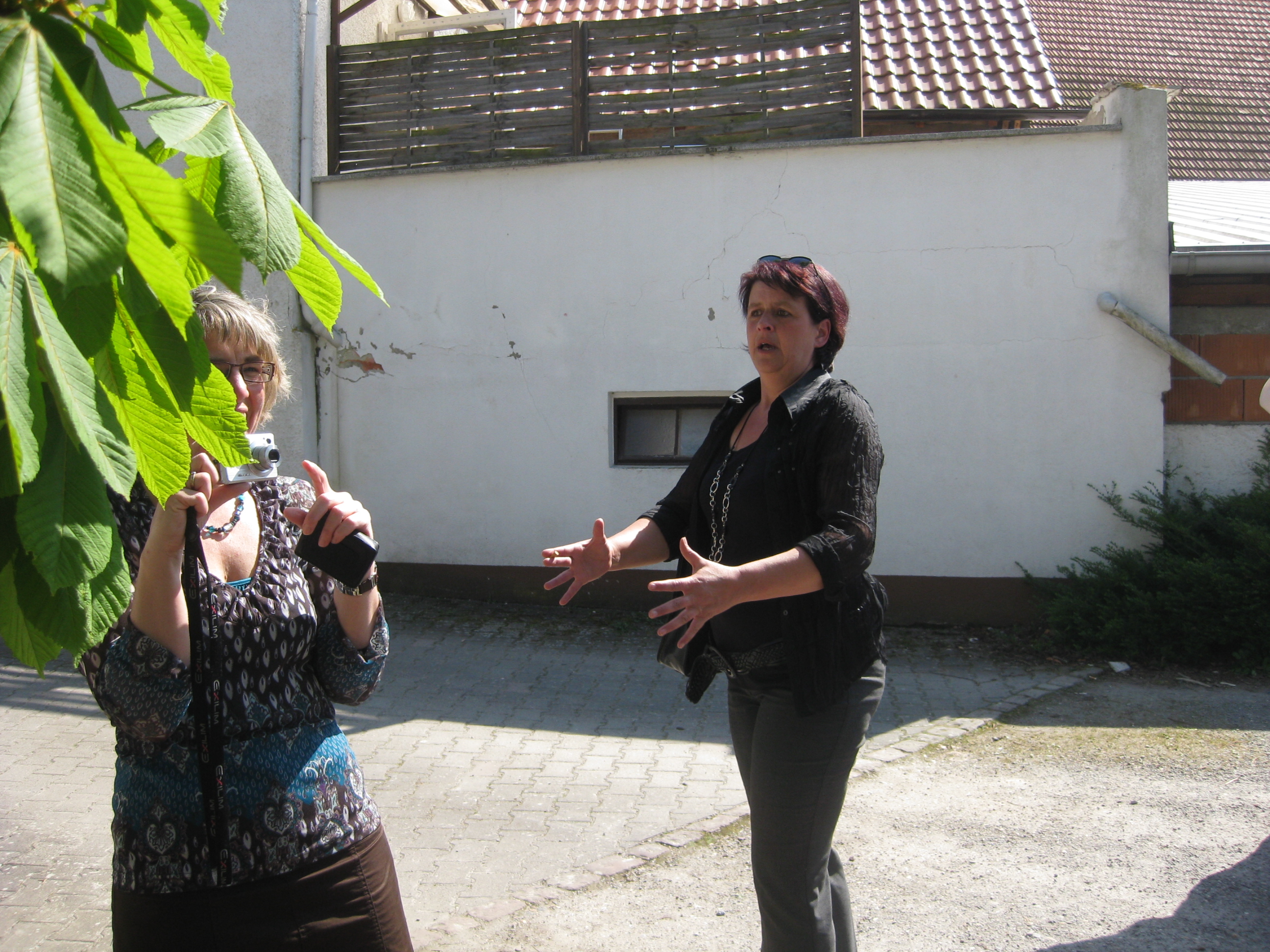 ./Jahrgang1/gross/IMG_3334.JPG